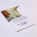 حتما بر می‌گردد - Image 4