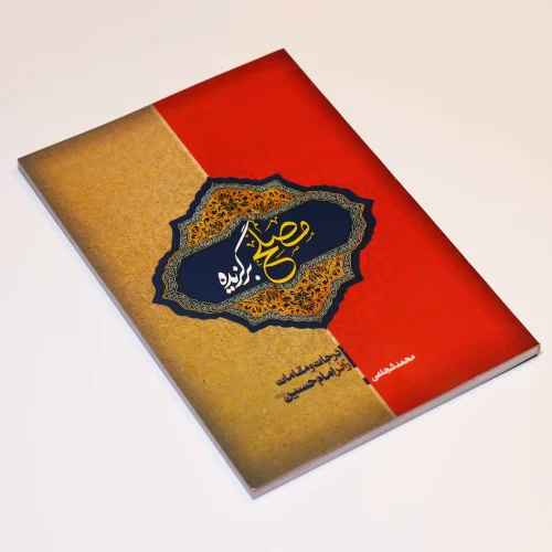 مصلح برگزیده؛ درجات و مقامات زائر امام حسین(ع) - Image 2